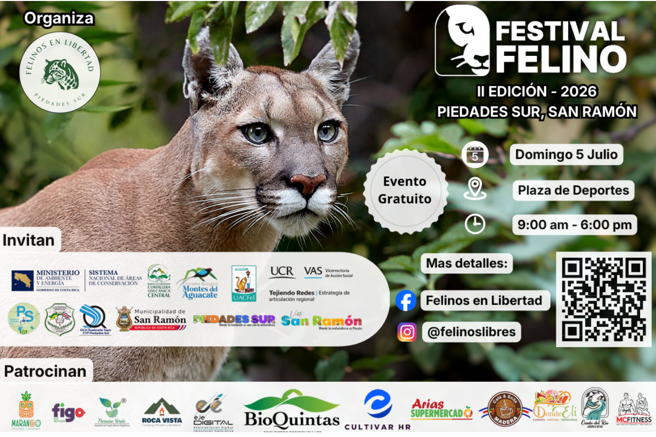 Felinos en Libertad