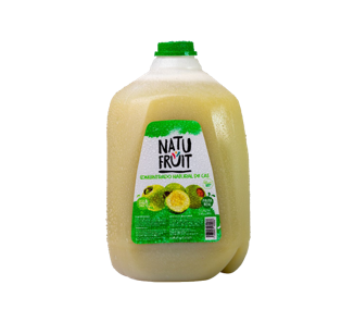 CONCENTRADO NATURAL CAS NATU-FRUIT 1/1GL