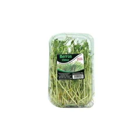 Berros Chinos en Bandeja