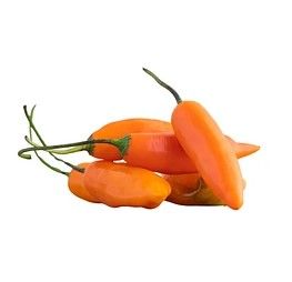 Chile Ají Peruano x Kg