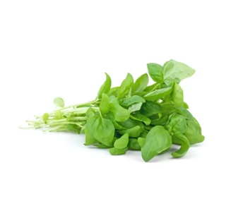 Albahaca Fresca Rollo