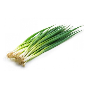 Cebollino rollo