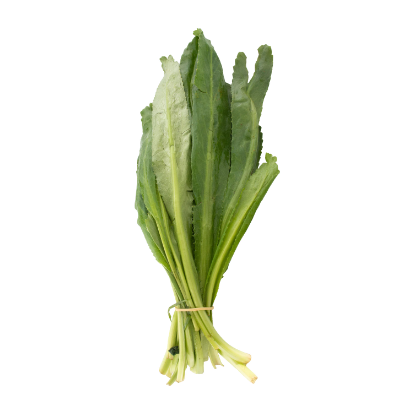 Culantro coyote rollo