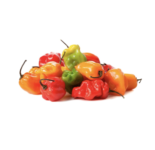 Chile Panameño KG