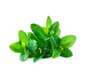 Menta Rollo fresca