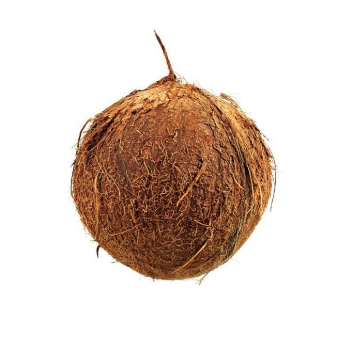 PIPA FRESCA PELADA UND