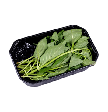 Albahaca fresca en bandeja