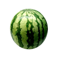SANDIA MINI KG
