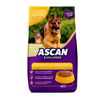 ALIMENTO ASCAN ADULTO 4K 1X4