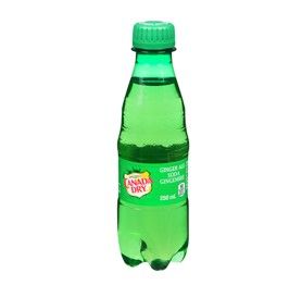 Ginger Ale Canada Dry 250 ml