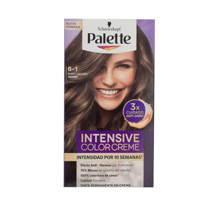 Tinte para cabello Palette CC KIT 6-1